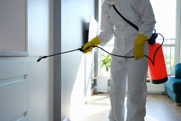 Best Mold Cleaning Services  in Ardsley, NY